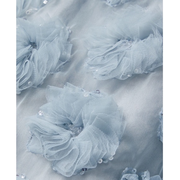 NWT LOVESHACKFANCY Wells appliquéd organza mini dress in blue size 4 - Picture 4 of 12